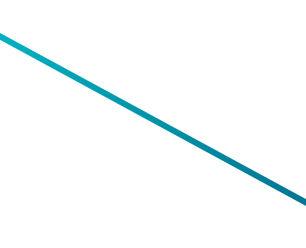 BIG HONZO